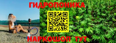 гидра Рыбинск