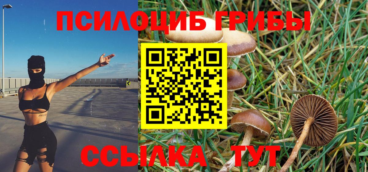 Галлюциногенные грибы MAGIC MUSHROOMS  Вход с VPN  Нягань 