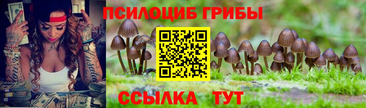 Галлюциногенные грибы Magic Shrooms Нягань